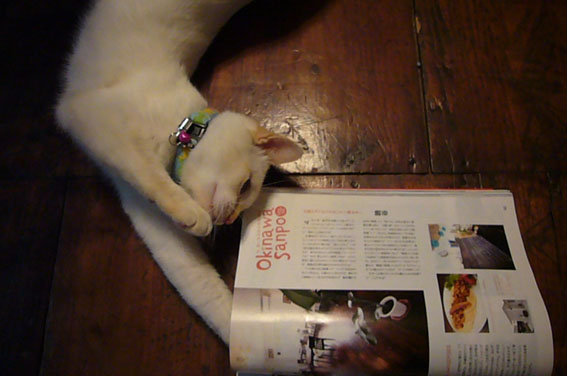 okinawa magazin._c0153966_21493562.jpg