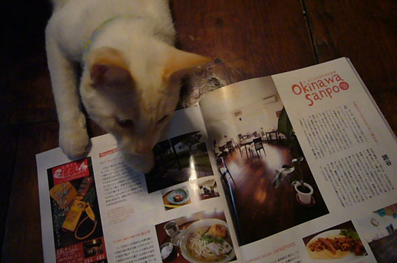 okinawa magazin._c0153966_21501368.jpg