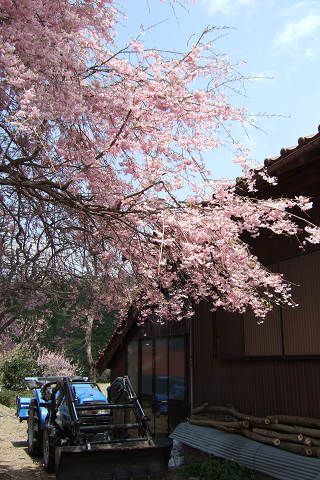 e0045768_22131251.jpg