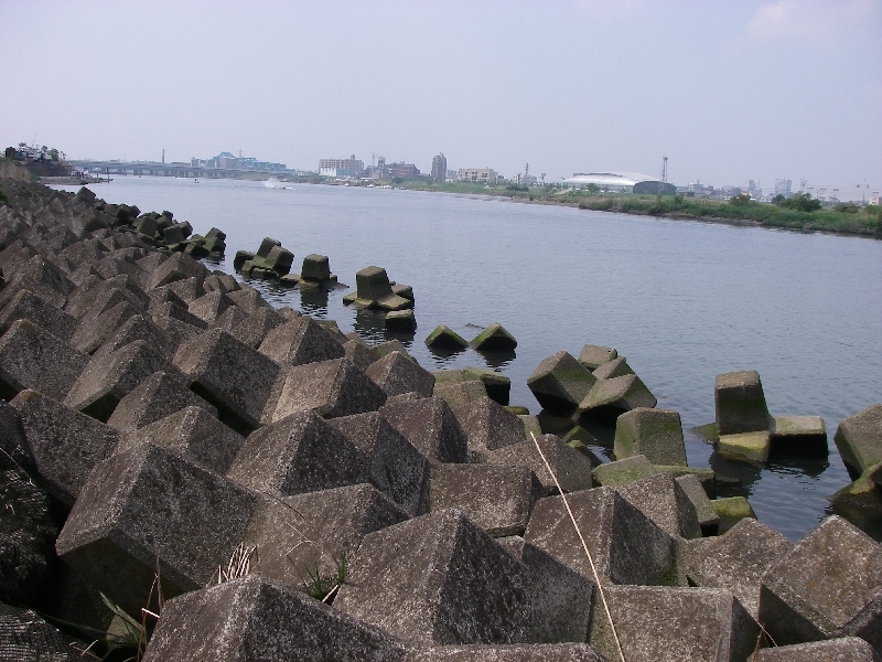 4月29日テナガエビ釣りしてきました 埼玉の空より 4月29日テナガエビ釣りしてきました 埼玉の空より