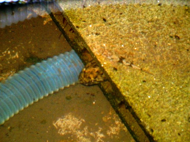 c0105569_09407.jpg