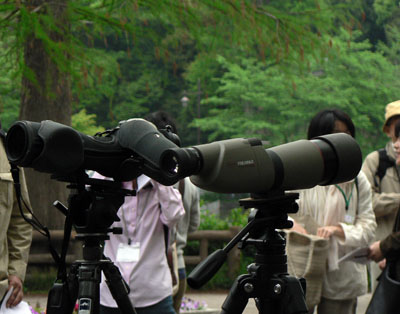 f0086169_15391317.jpg