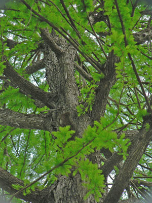 f0086169_15424573.jpg