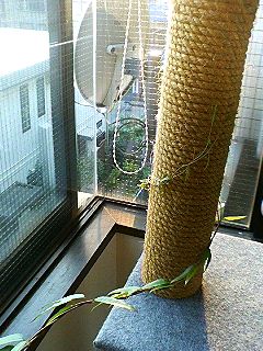 見える!見える!_f0054677_8252660.jpg