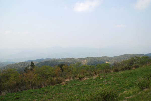 コバイモの咲く山　（徳島県）　29.Apr.2008_d0077083_22535382.jpg