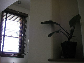 c0096287_11442514.jpg