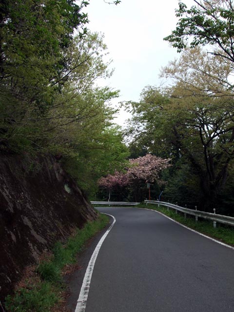 e0034994_16455676.jpg
