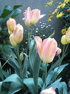 e0143298_2117330.jpg