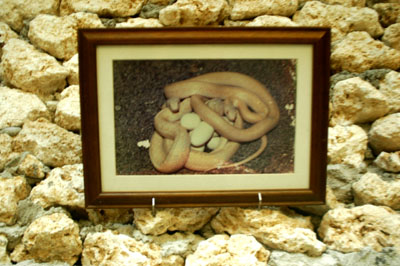 f0073699_0362278.jpg