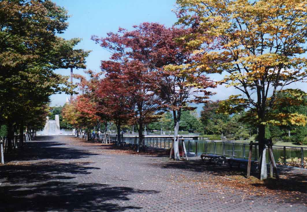 f0080600_355479.jpg