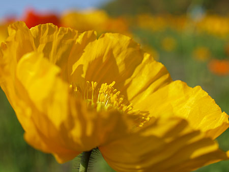 a0041508_23574823.jpg