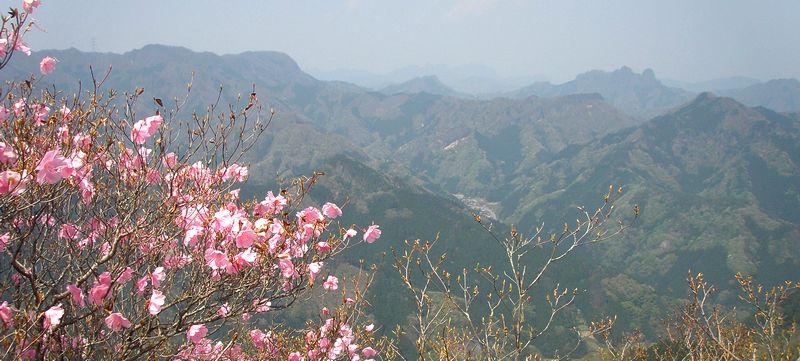 c0073016_23544418.jpg