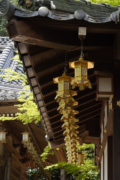 新緑の山寺　普門寺　2_d0120622_21504444.jpg