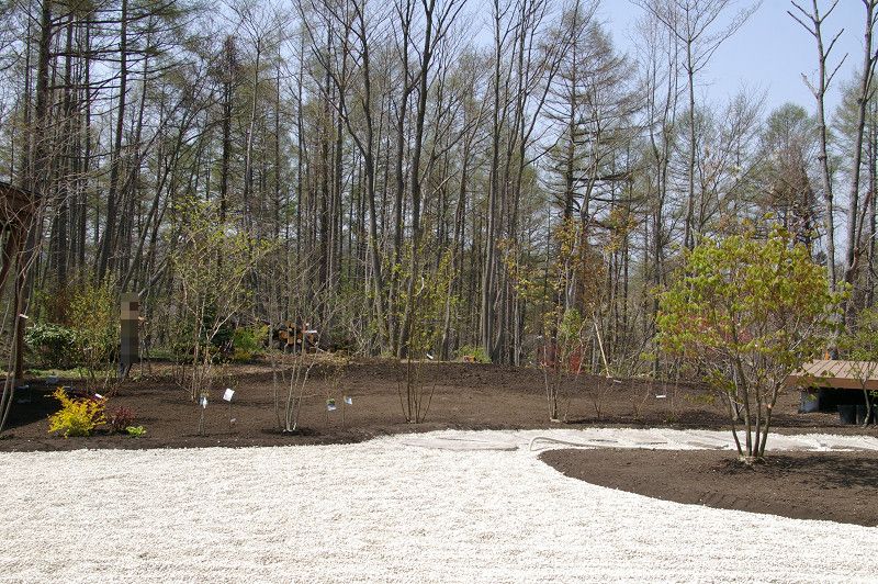e0136424_14324012.jpg