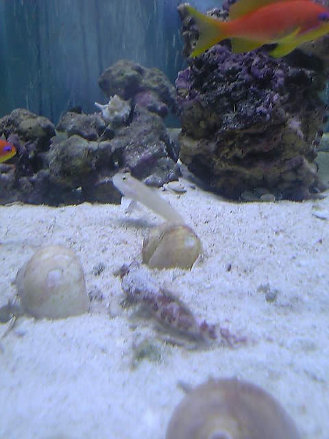 c0108434_2212558.jpg