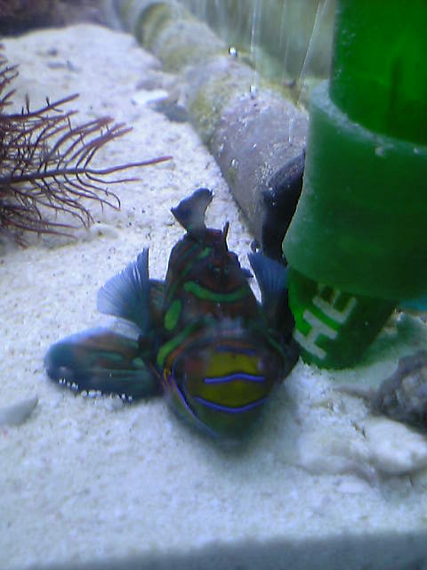 c0108434_22141682.jpg