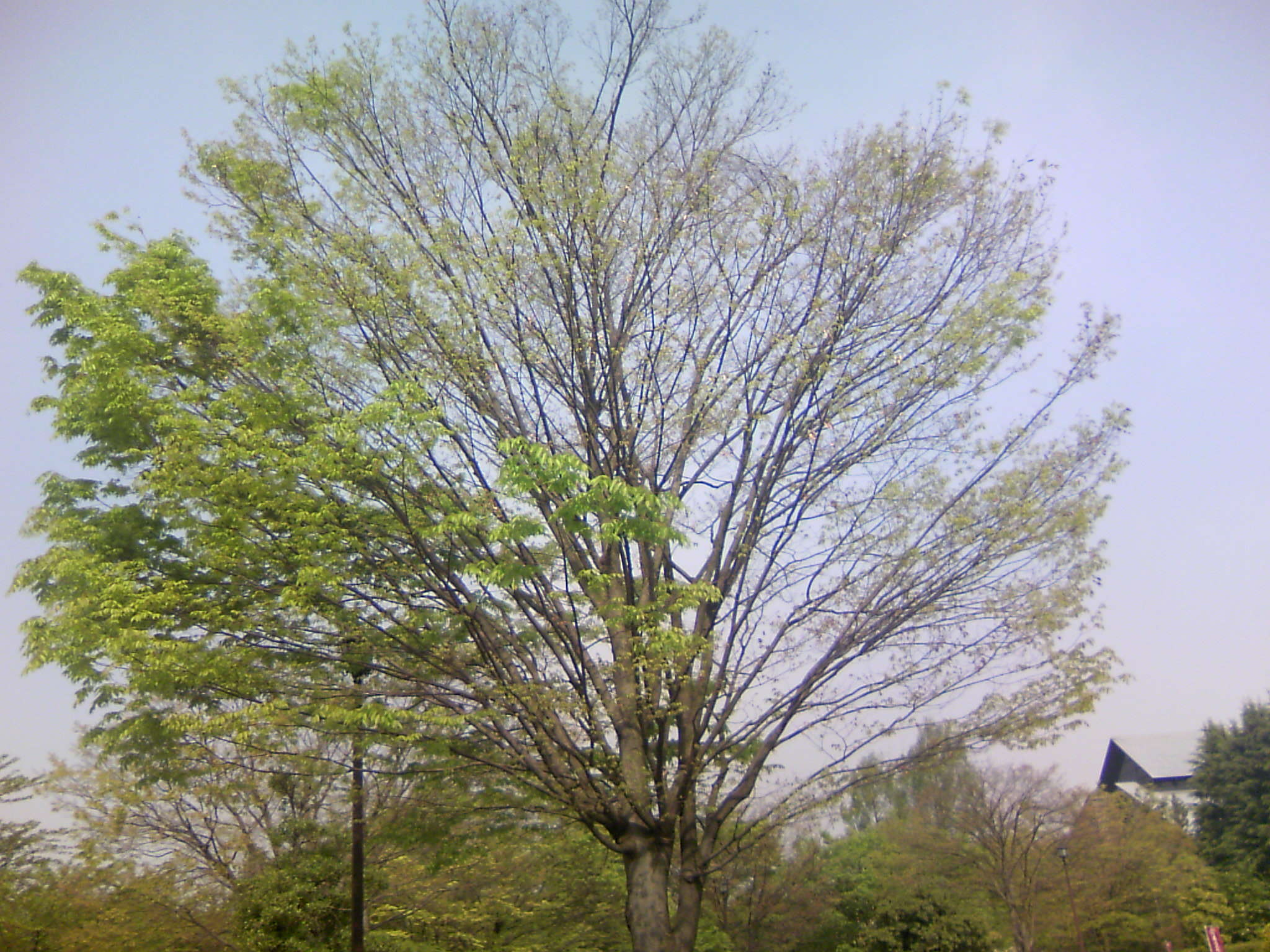 共同作業_c0097137_13392372.jpg