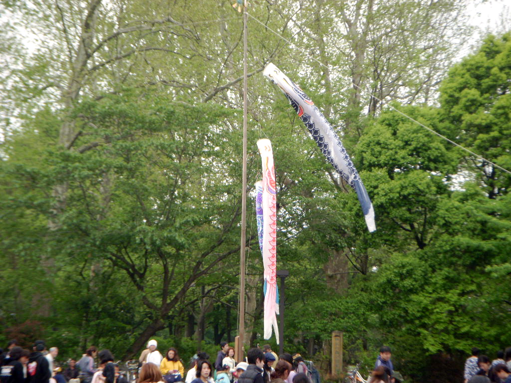 b0019140_15563726.jpg