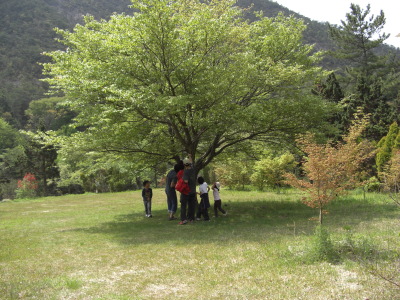 e0020945_10152197.jpg