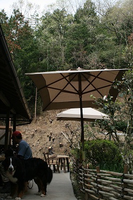 a0109450_15194444.jpg