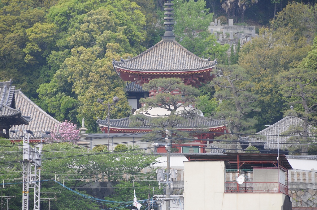 2008/5/01(木)　尾道みなと祭り（体験航海）_f0137351_19205888.jpg