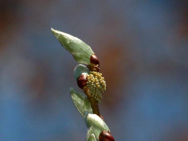 c0045352_16551821.jpg