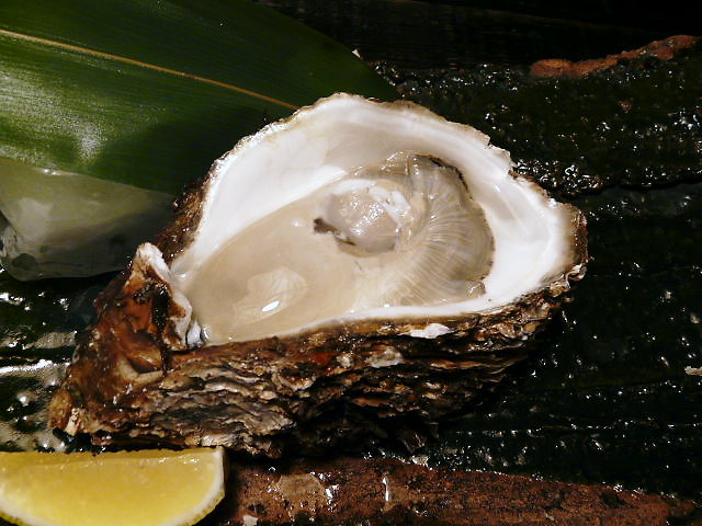 d0080653_025217.jpg