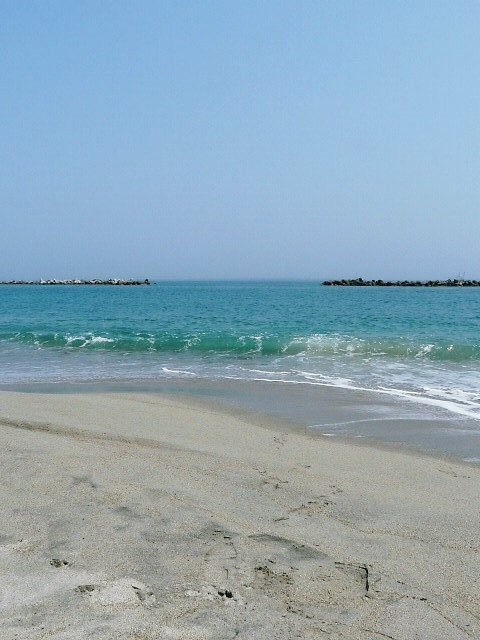 d0080653_0452075.jpg