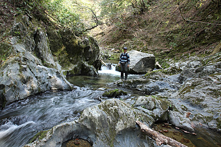 新緑の岩谷、由良川源流の滝壺_e0113053_23345258.jpg