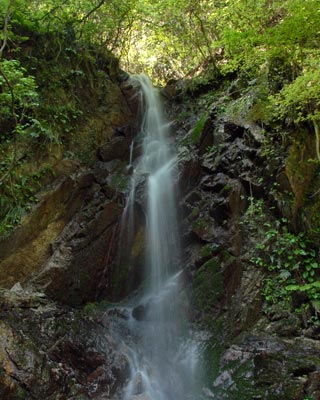 e0035757_23181979.jpg