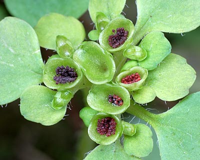 e0035757_23183161.jpg