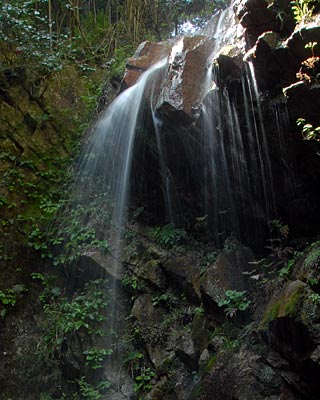 e0035757_23184682.jpg