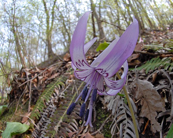 e0035757_23234715.jpg