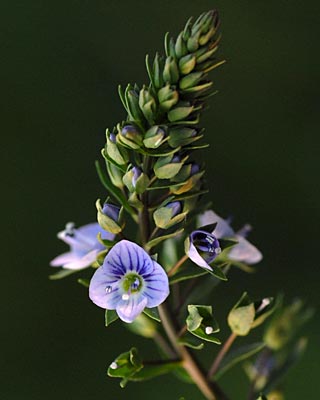 e0035757_23252198.jpg