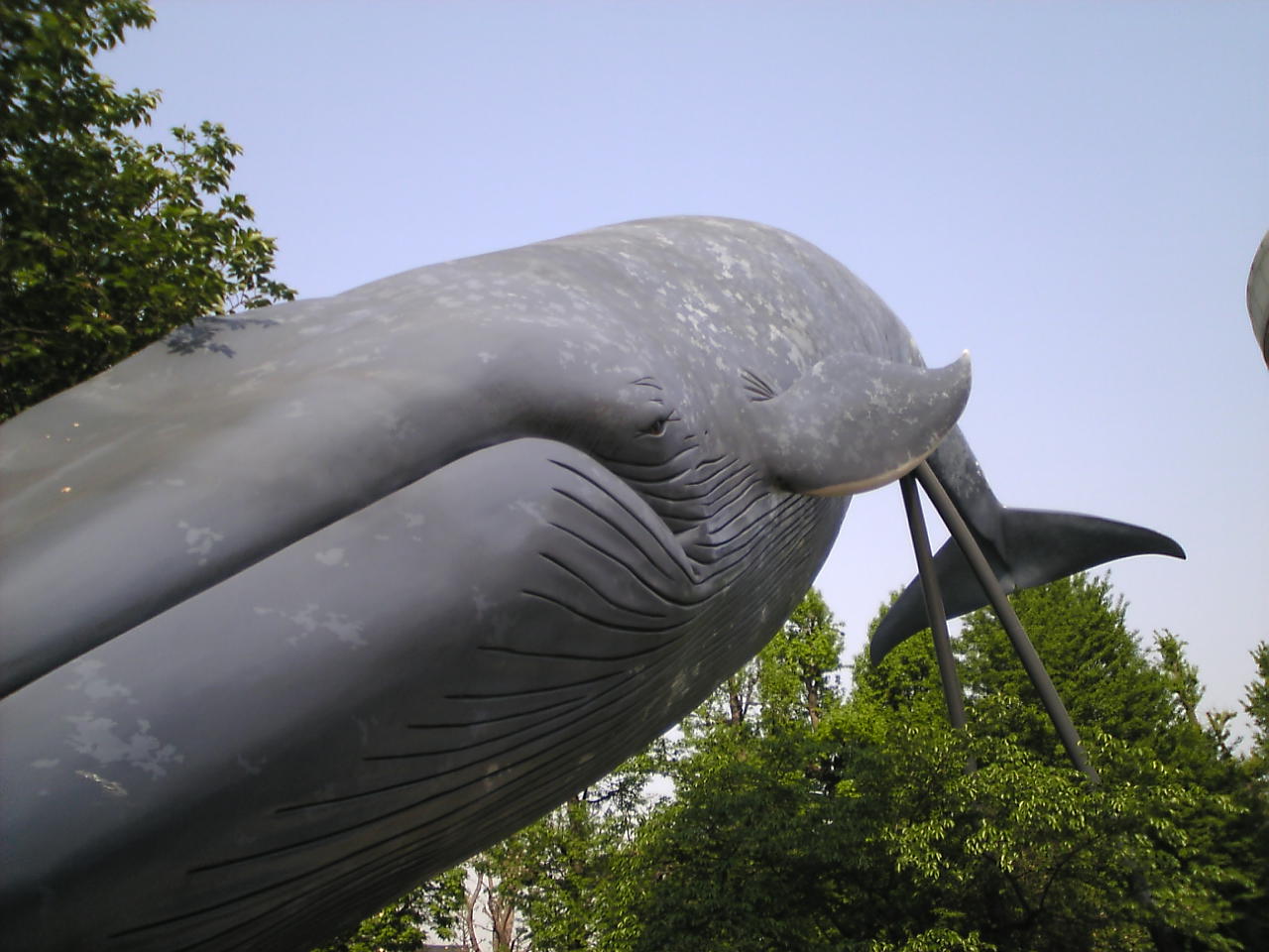 e0089761_00519.jpg
