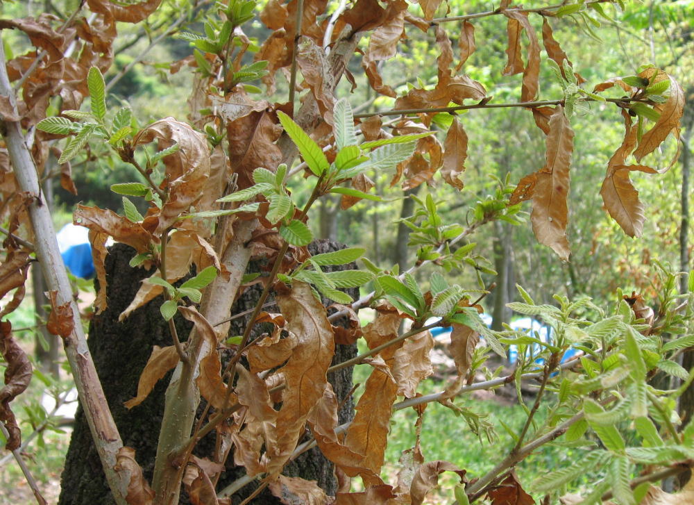 b0129962_16164924.jpg