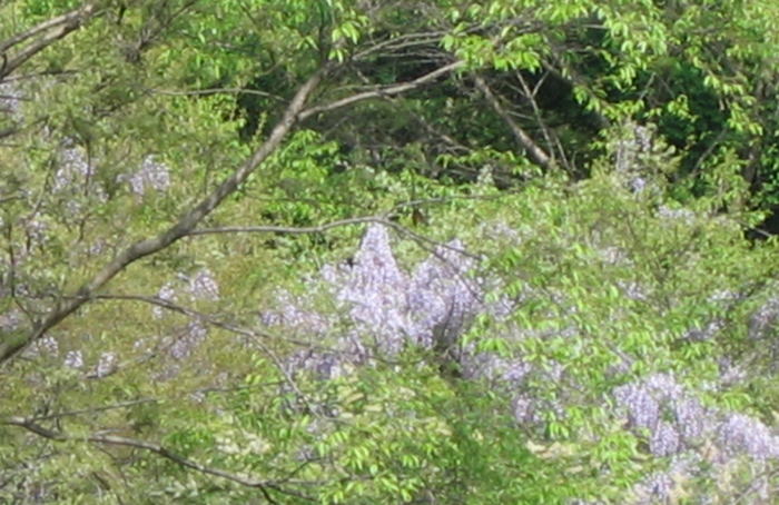 b0129962_1644411.jpg