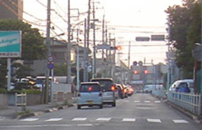 f0059673_664031.jpg