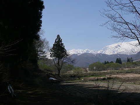 c0107075_7454294.jpg