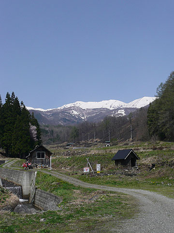c0107075_7463989.jpg