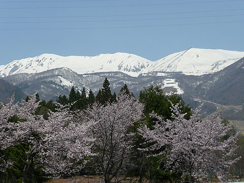 c0107075_747038.jpg
