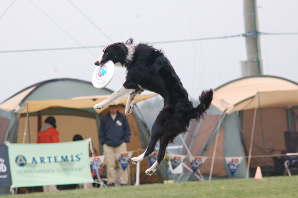 JFA宮城SUGO大会〜その4_d0101385_21211718.jpg