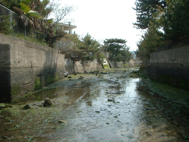 旧海軍兵学校の川　その２_e0060485_1154229.jpg