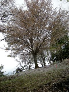 a0064290_021211.jpg