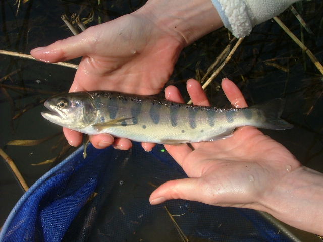 d0083692_15712.jpg