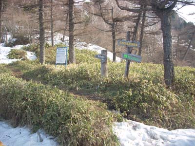 登山道情報_e0120896_6143430.jpg