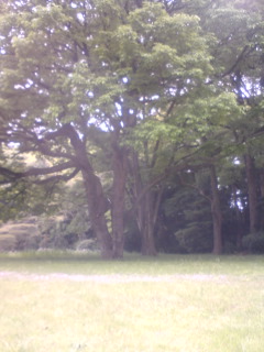 c0159398_2114791.jpg