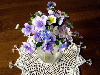 花を鍛える!_a0047200_17335639.jpg