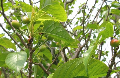 f0162114_19311859.jpg
