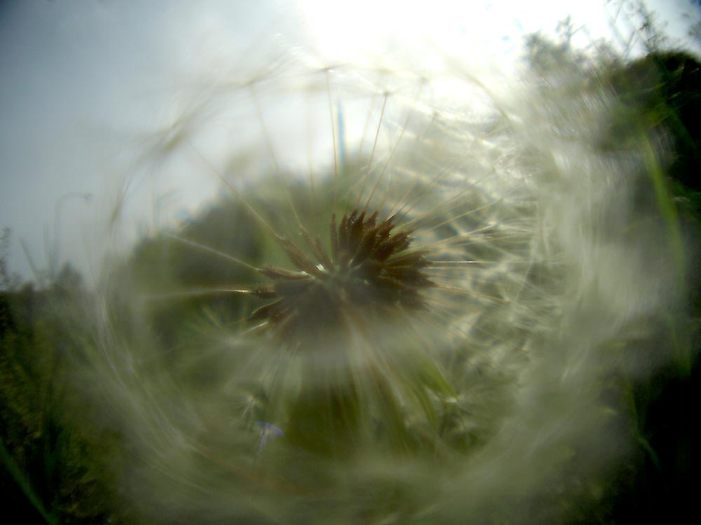 c0145418_17184038.jpg